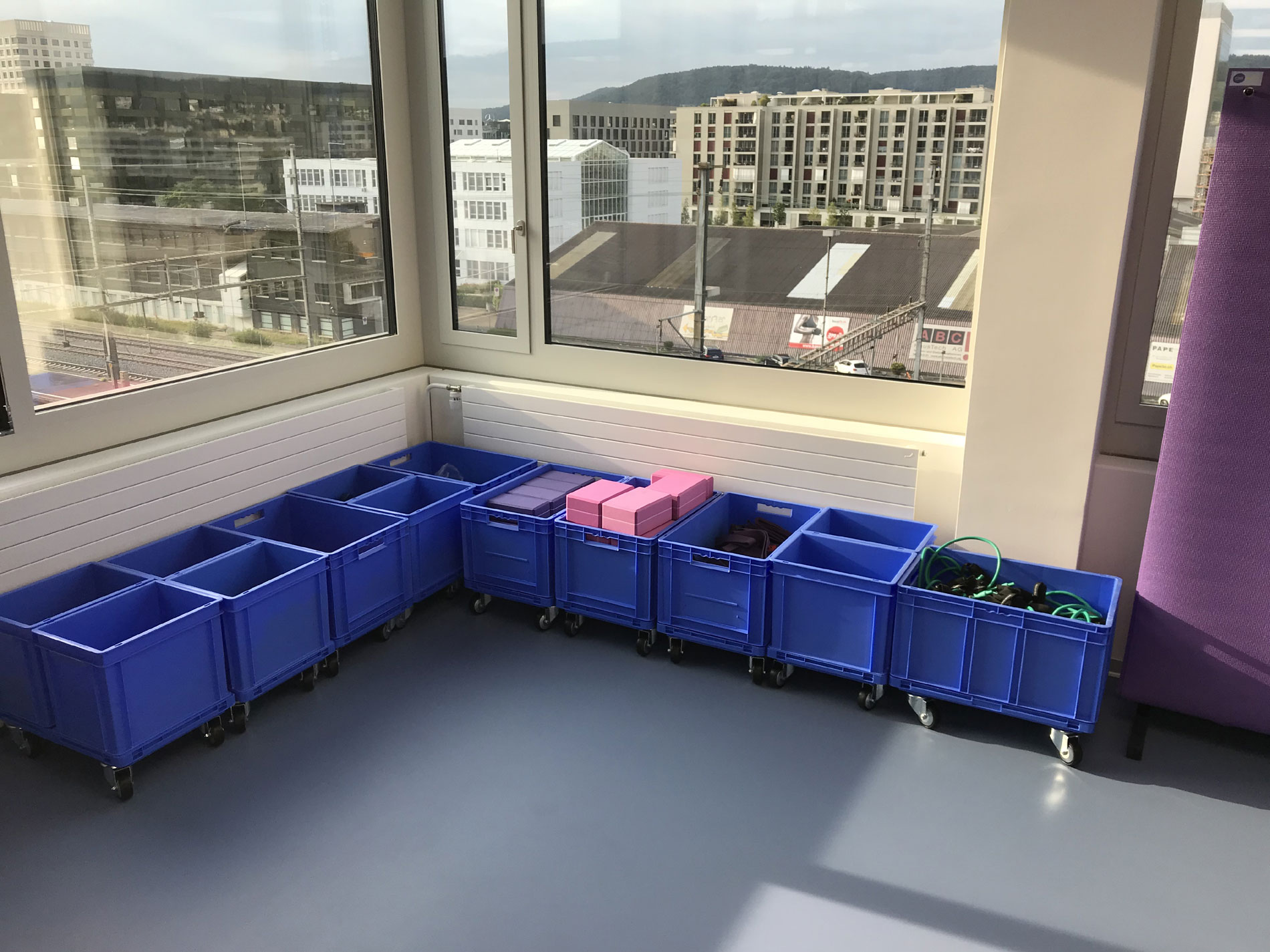 Hanteln mediafit, Vinyl