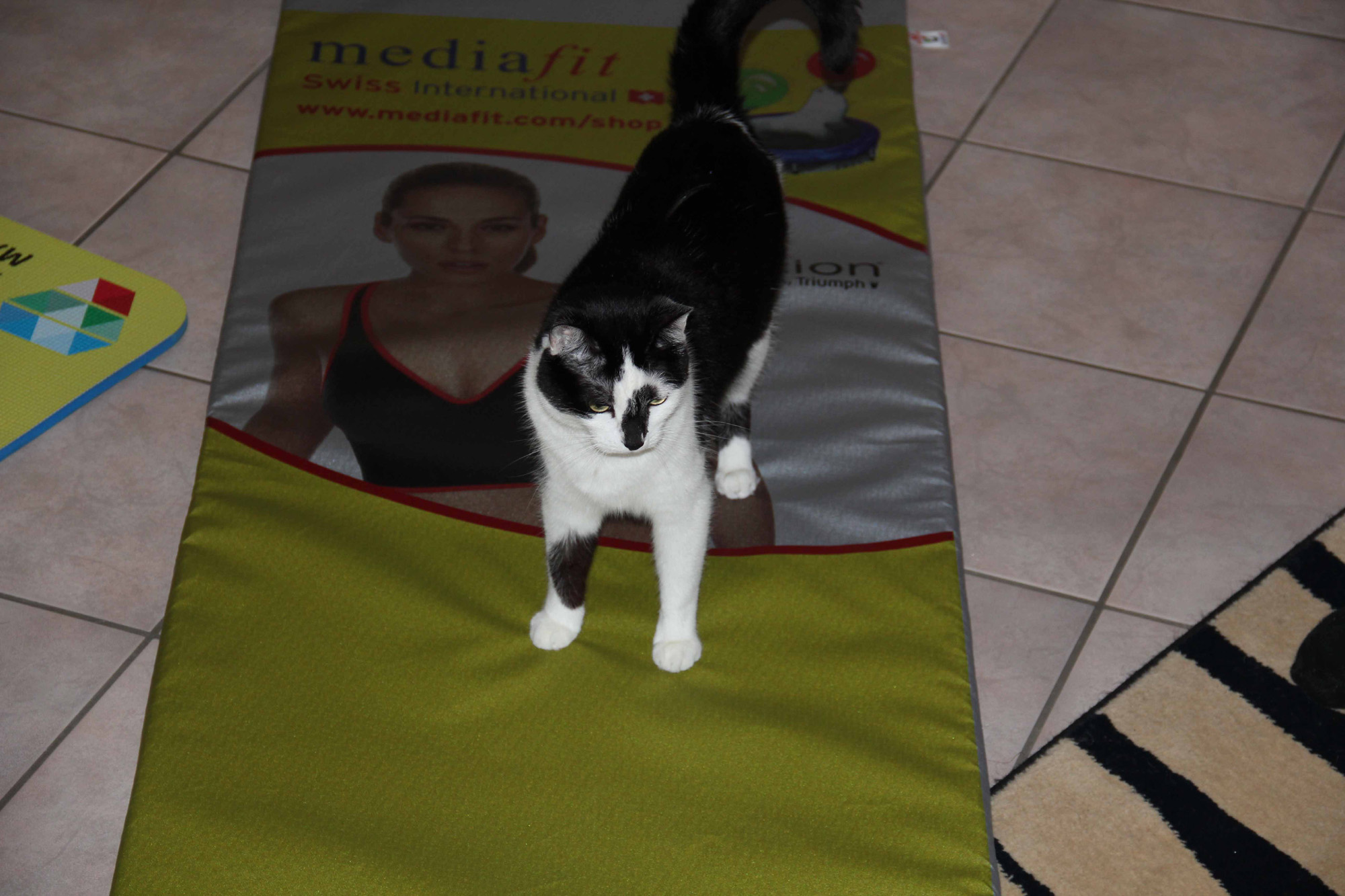 Swiss Diamond Animal Mats Tragmatten