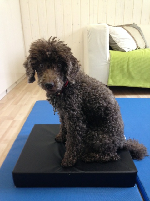 Balance Pad