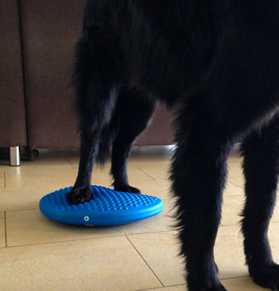 Disc o Sit 39 cm